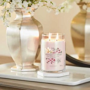 candele mangiafumo yankee candle