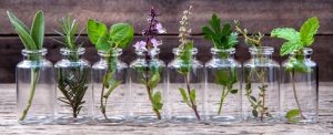 piante usate in cosmetica