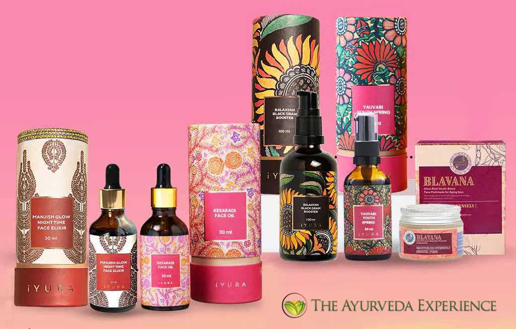 the ayurveda experience